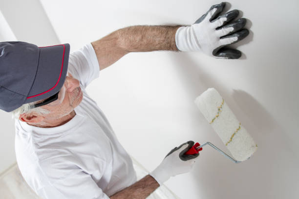 Best Mold Odor Removal Services  in Shallowater, TX