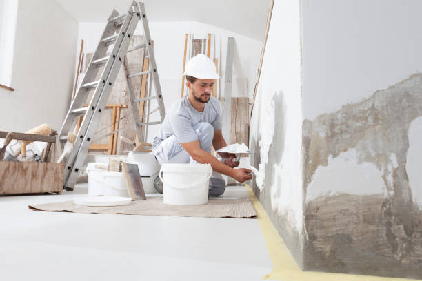 Shallowater, TX Mold Removal Company
